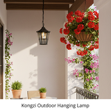Kongzi Outdoor Hanging Lamp