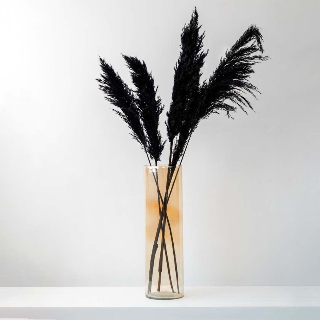 Black pampas grass stems displayed on white background for tall vase styling and boho chic decorative accents.