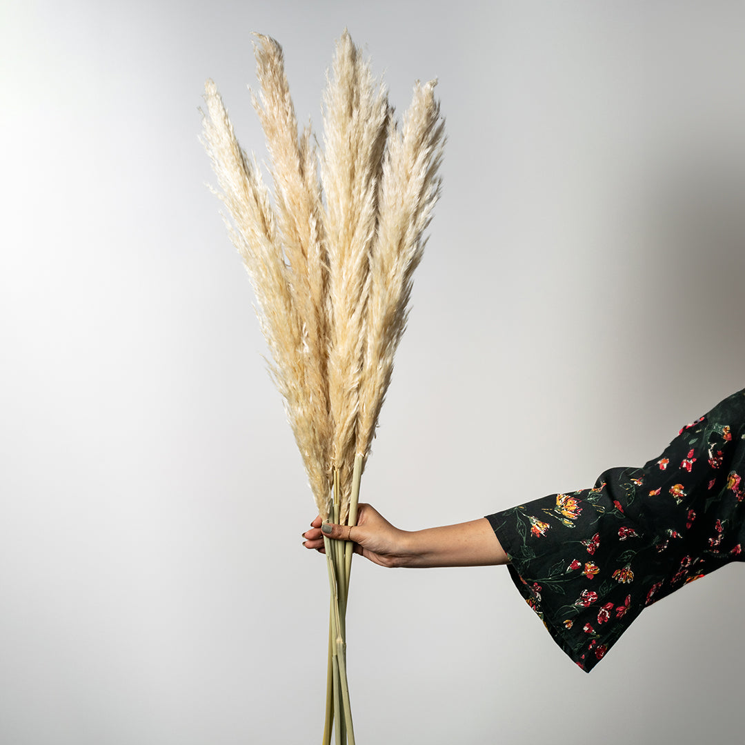 Hand holding natural beige dried pampas grass stems bouquet for bohemian farmhouse style floor vase decor on white backdrop.