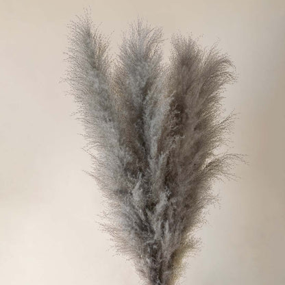 Large Pampas Grass - Light Grey