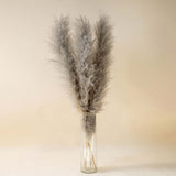 Large Pampas Grass - Light Grey