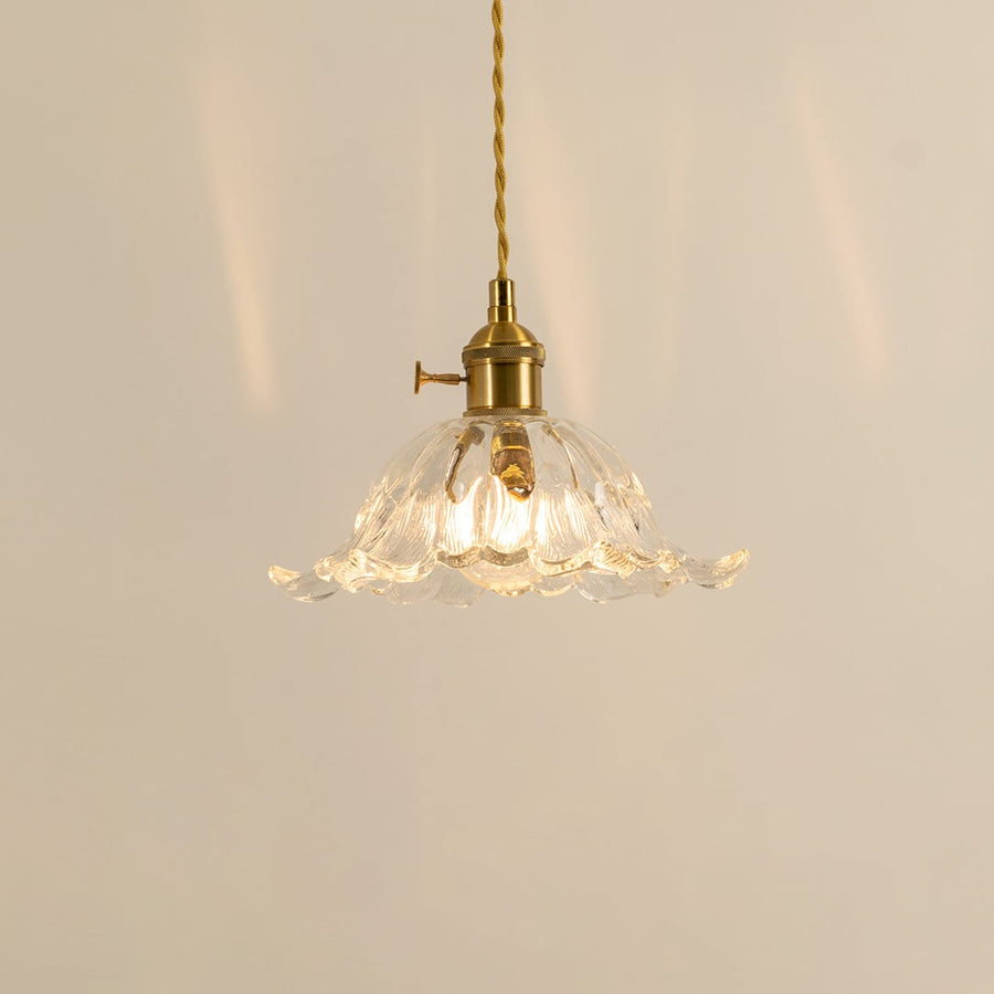 Clear glass and brass metal pendant light creating cozy ambience in stylish modern dining spaces.