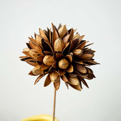 Wooden dried flower presented as a close up highlighting earthy textured petals creating a unique natural décor statement ideal for rustic modern and artistic home styling.