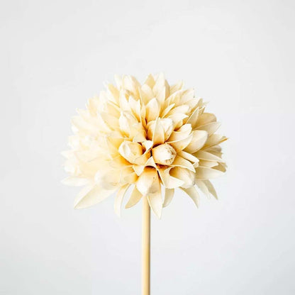 Dried flower arrangement featuring a single cream bloom displayed close up creating a simple natural décor detail perfect for minimal elegant and modern home styling.