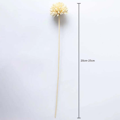 Dried flower arrangement featuring a single cream bloom displayed with a visible height of 35 cm creating a delicate natural décor detail perfect for minimal modern and artistic interiors.