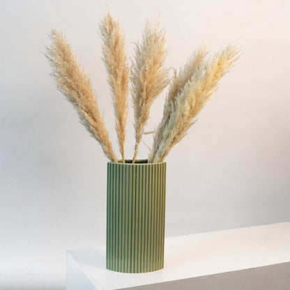 Medium dried pampas grass arrangement in a green ribbed vase creating a warm natural pampas décor accent perfect for boho living room styling and earthy modern interior decoration.