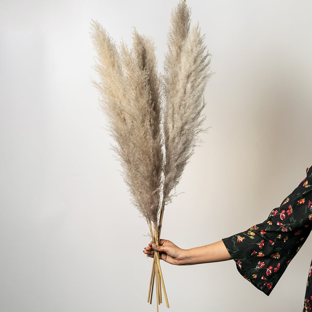 Hand holding a bundle of three fluffy natural beige dried pampas grass plumes for elegant luxury bohemian floor vase decor.