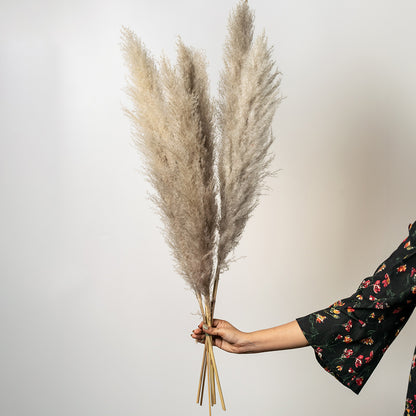 Hand holding a bundle of three fluffy natural beige dried pampas grass plumes for elegant luxury bohemian floor vase decor.
