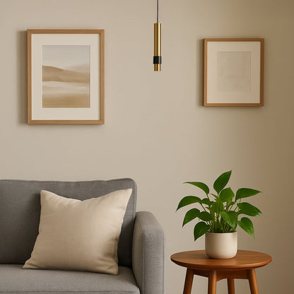 Sleek gold pendant light with black accent styled in modern wardrobe area creating a premium ambiance.