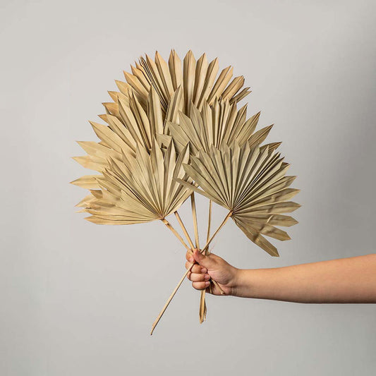 Natural Palm Leaves 15 Inch Set Of 5