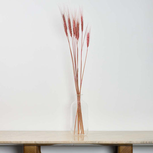 Pink dried wheat bouquet displayed in home creating rustic farmhouse aesthetic with natural preserved botanical arrangement.