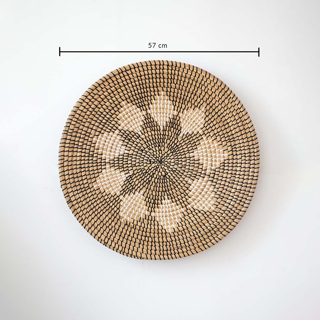 Dried floral stems with natural beige tones held in hand on white background perfect for vase decor and styling accents.