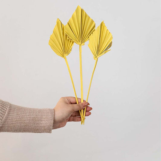 Palm Spear Happy Yellow Set of 3 - Small
