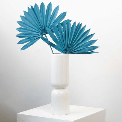 Single fan palm dried leaf on white background showcasing natural shape for boho and modern vase arrangements.