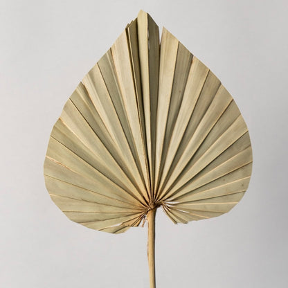 Closeup of dried palm leaves showing intricate folds and crisp natural texture arranged in a stylish glass vase.