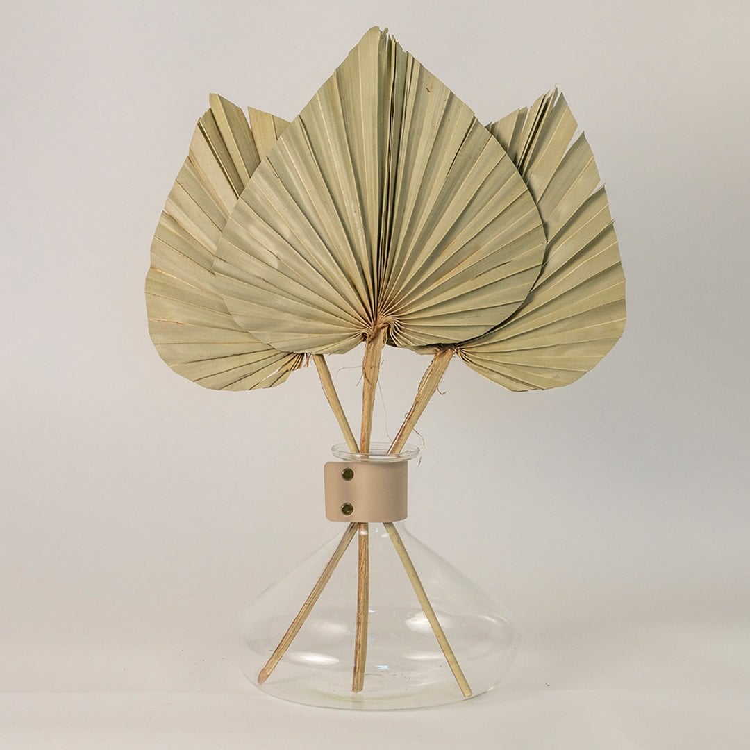 Dried palm leaves arranged in a modern glass vase adding a natural earthy touch to minimalist home decor styling.