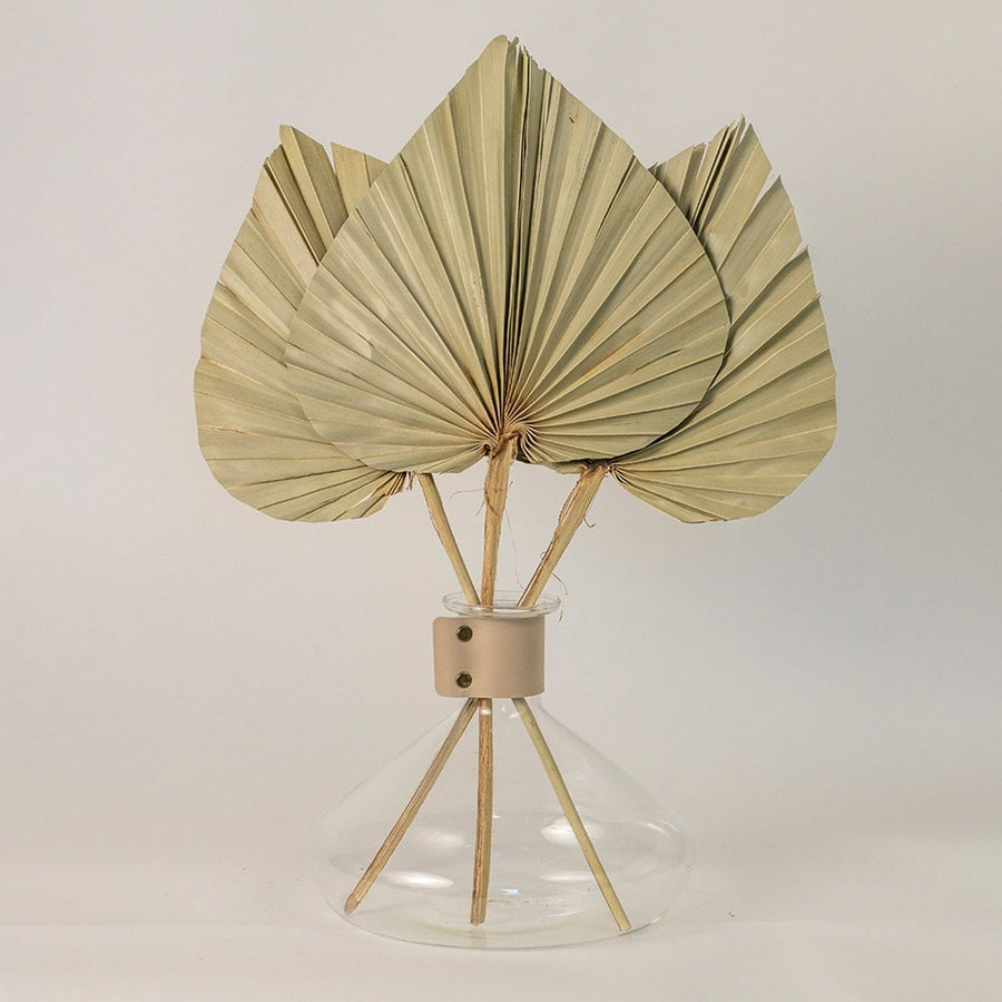 Dried palm leaves arranged in a modern glass vase adding a natural earthy touch to minimalist home decor styling.