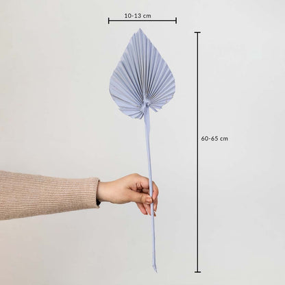 Light purple dried palm leaf shown with size dimensions 60 to 65 cm height and 10 to 13 cm width for vase decoration.