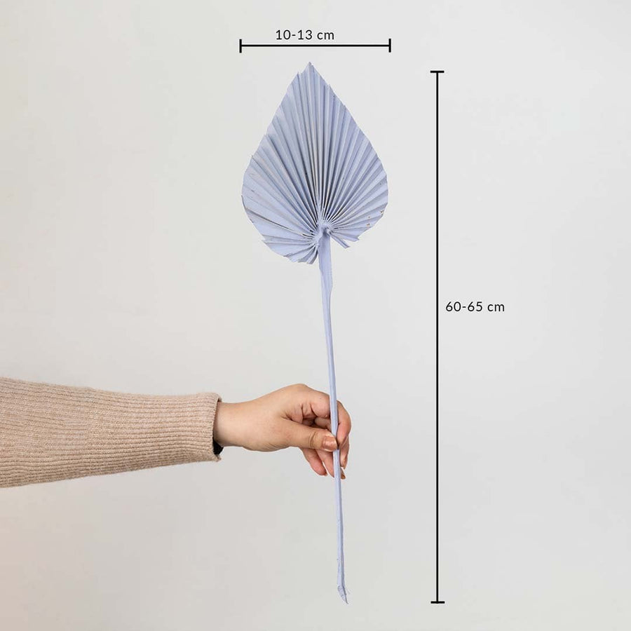 Light purple dried palm leaf shown with size dimensions 60 to 65 cm height and 10 to 13 cm width for vase decoration.