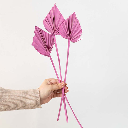 Hand holding three mauve pink dried palm spear leaves for creative modern bedroom tabletop vase decoration on white backdrop.