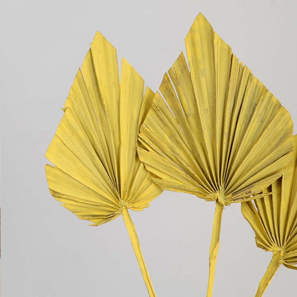 Closeup of mustard yellow dried palm leaves with layered folds showing natural fiber structure ideal for tabletop and shelf Decor.