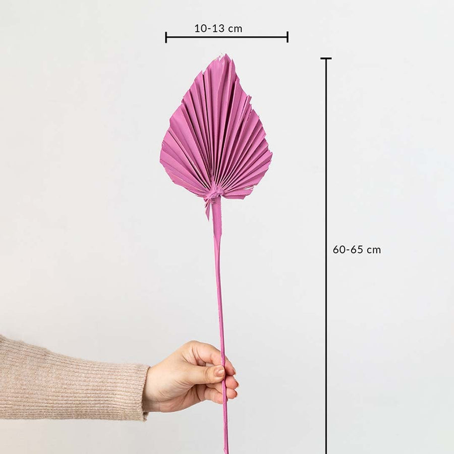 Pink dried palm leaf shown with size dimensions 60 to 65 cm height and 10 to 13 cm width for vase decor.
