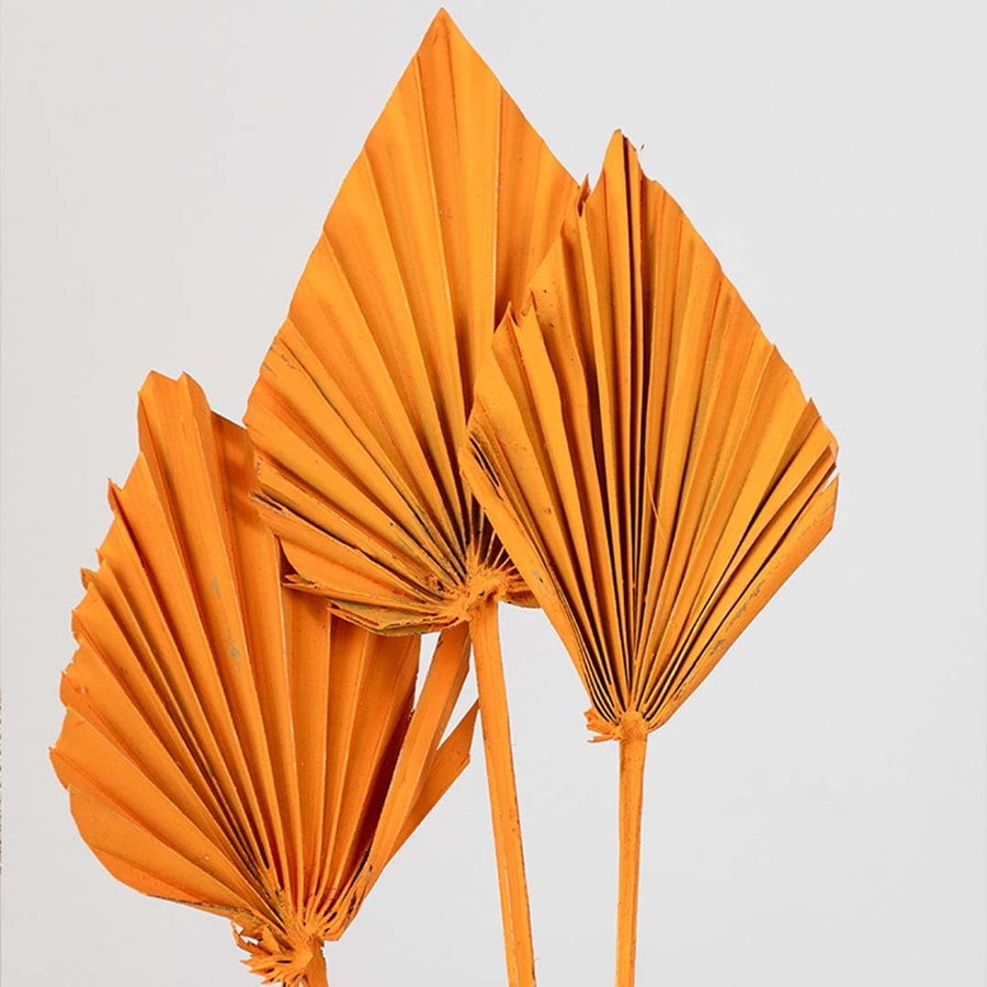 Closeup of orange dried palm leaf decor showing pleated fan shape bold color and natural fiber texture for statement vase styling.
