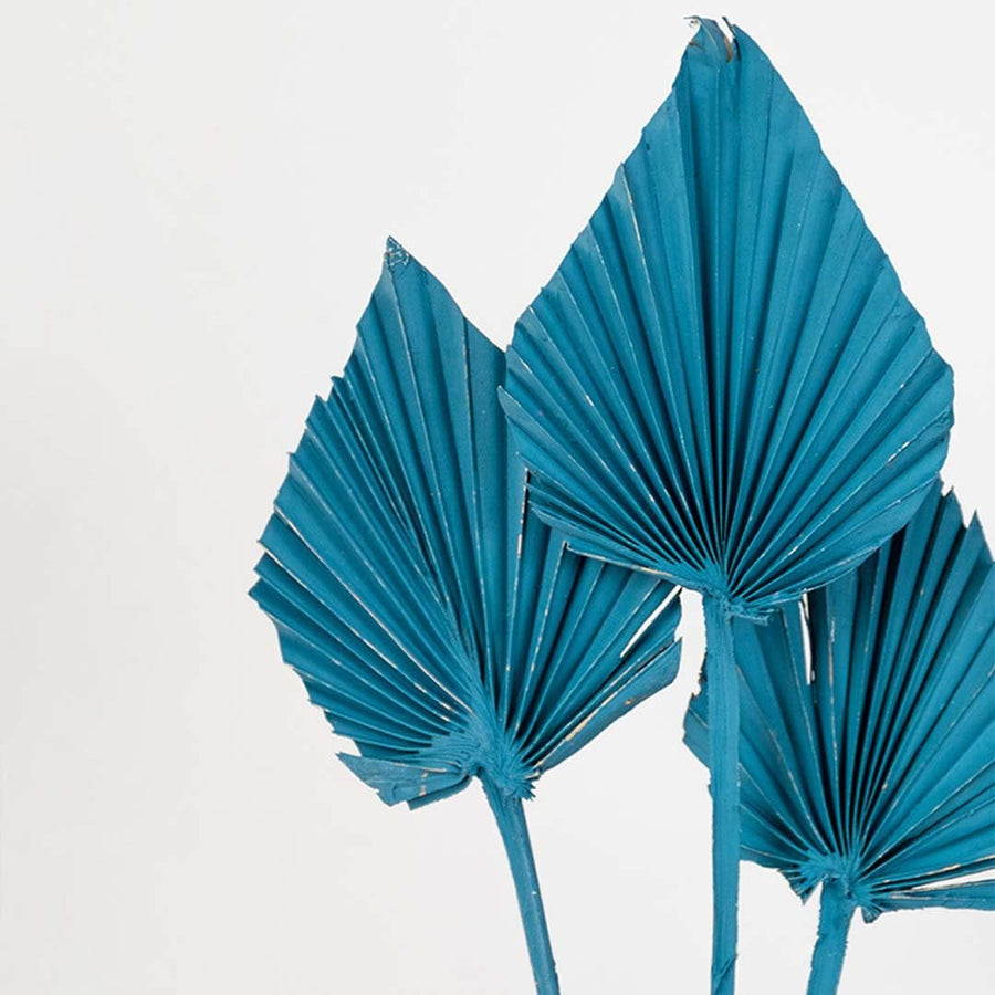 Closeup of teal dried palm leaf stems showing folded fan texture dyed finish and natural fiber detail for modern vase Decor styling.