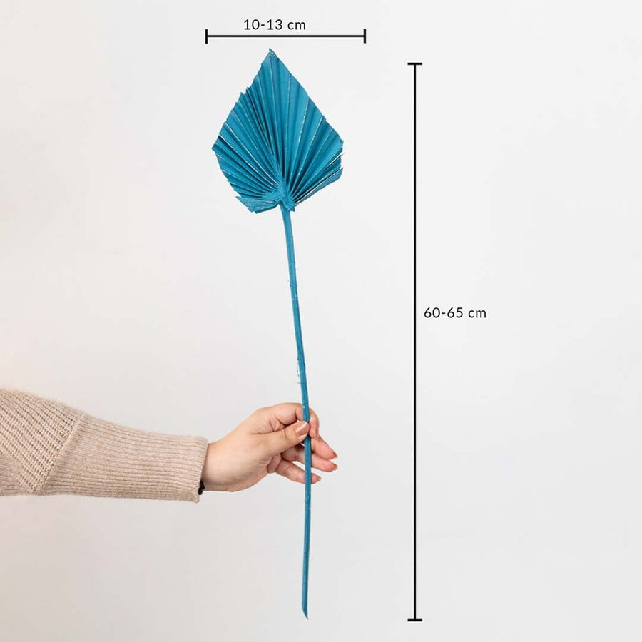 Teal dried palm leaf stem with 60 to 65cm height and 10 to 13cm leaf width shown with measurement.