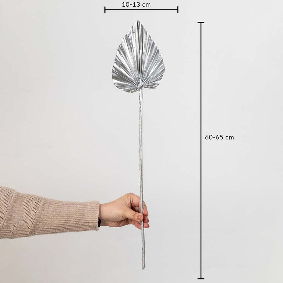 Silver dried palm leaf shown with size dimensions 60 to 65 cm height and 10 to 13 cm width for vase decor.
