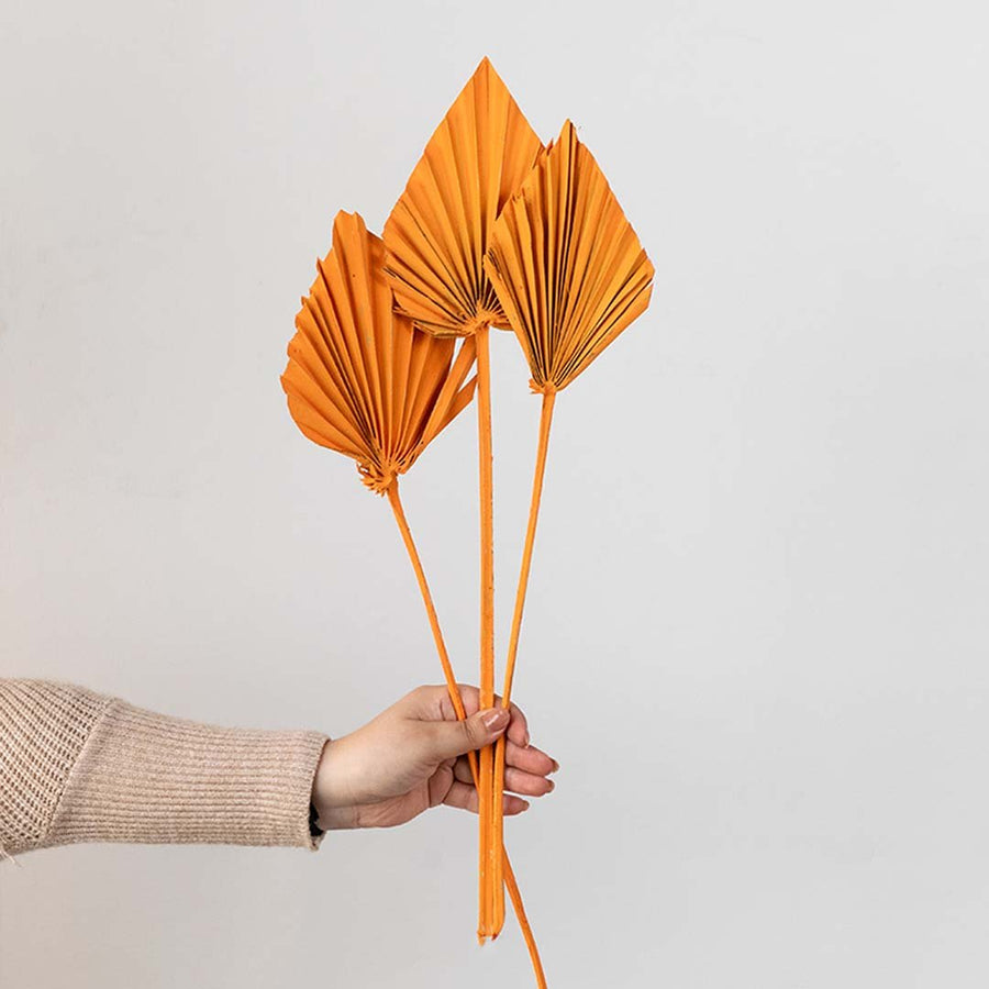Hand holding a trio of orange dried palm spear leaves for seasonal bohemian mantel tabletop decoration on white backdrop.