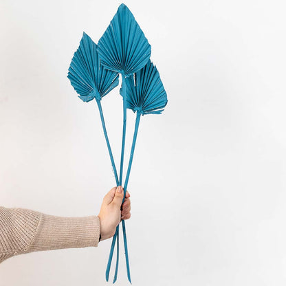 Hand holding a trio of teal blue dried palm spear leaves for luxury bohemian living room tabletop vase decor on white backdrop.
