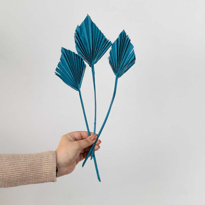 Hand holding three teal blue dried palm spear leaves for vibrant bohemian living room tabletop vase decor on white backdrop.