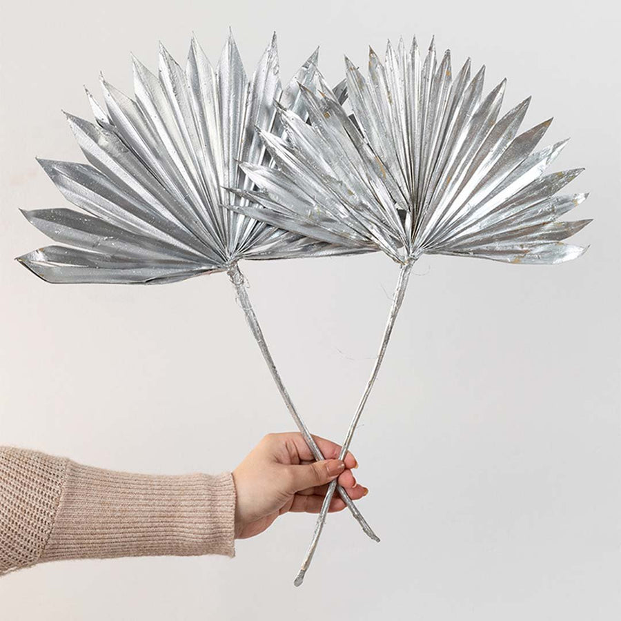 Hand holding two metallic silver painted dried palm sun fan leaves for festive luxury tabletop vase decor on white backdrop.