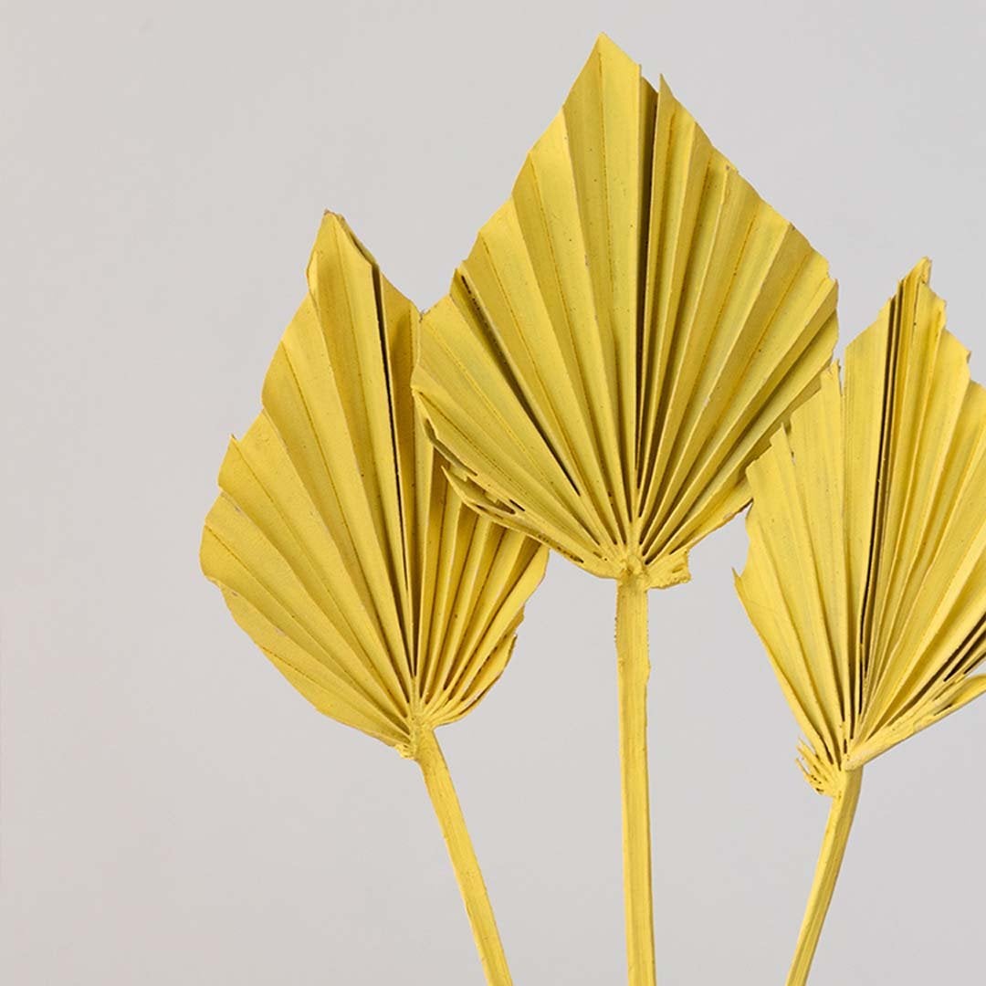 Closeup of yellow dried palm leaf decor highlighting pleated fan shape matte color finish and handcrafted texture for vase placement.