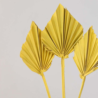 Closeup of yellow dried palm leaf decor highlighting pleated fan shape matte color finish and handcrafted texture for vase placement.