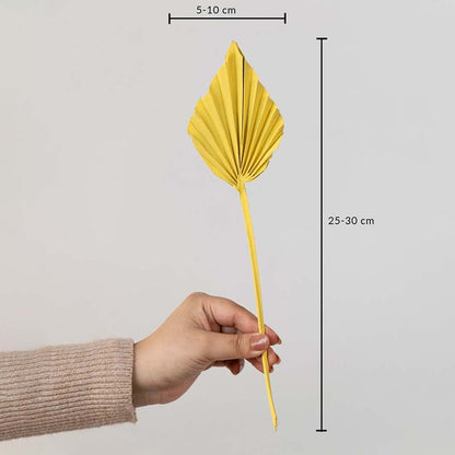 Dried palm leaf yellow stem with size dimensions 25-30 cm height and 5-10 cm width is ideal for vases and floral arrangements.