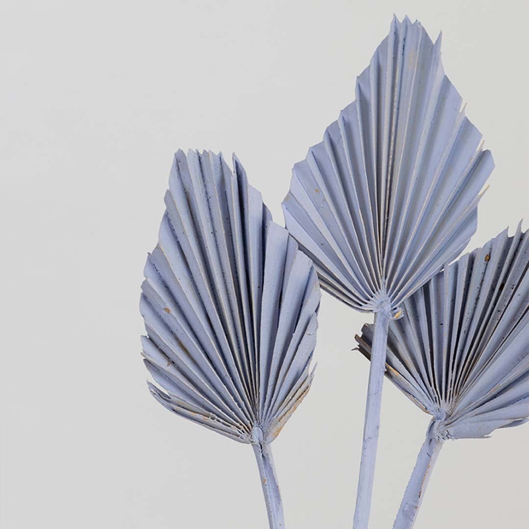 Closeup of lavender dried palm leaf stems showing soft pleated texture muted color tone and natural decor styling material.