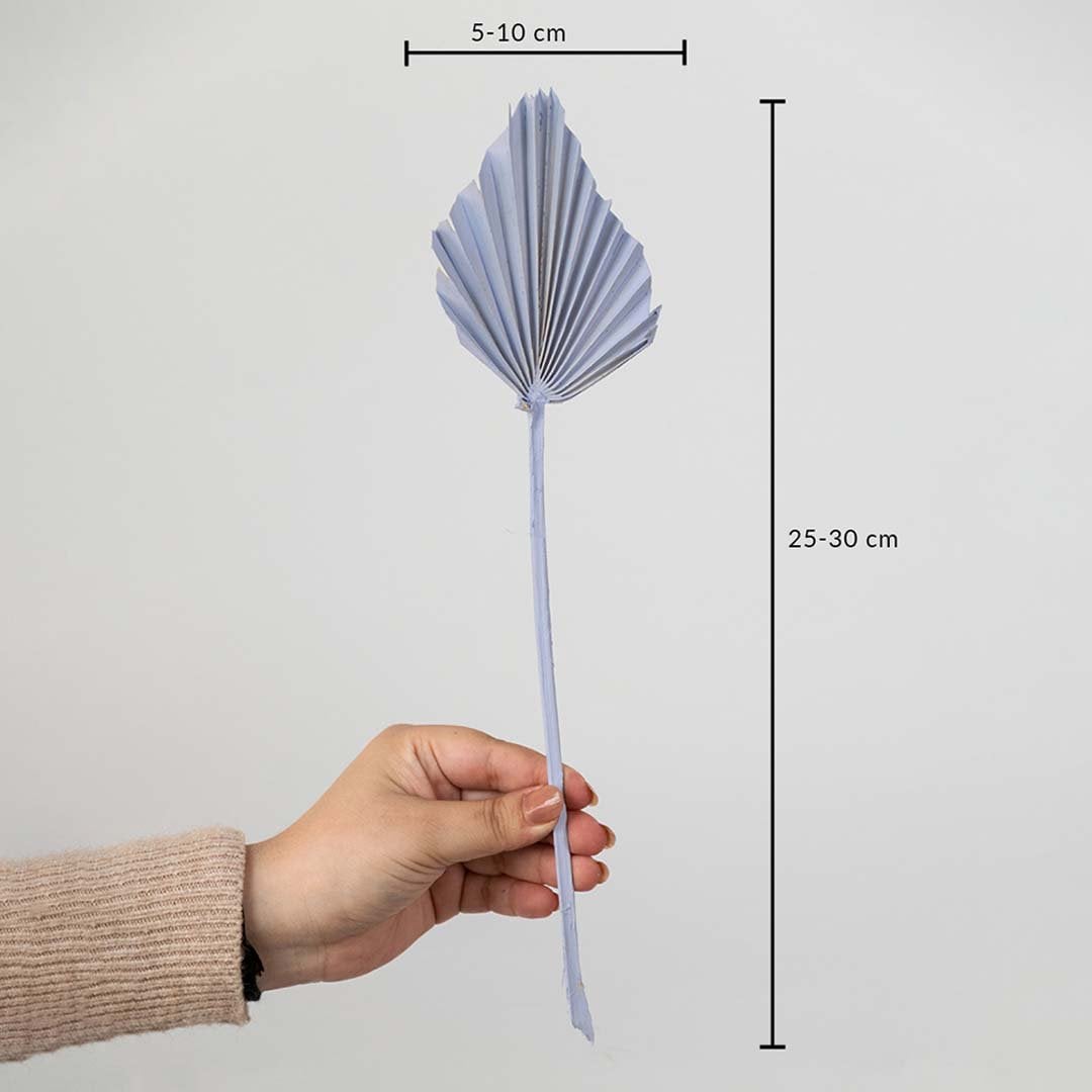 Light purple dried palm leaf shown with size dimensions 25 to 30 cm height and 5 to 10 cm width for vase decoration.