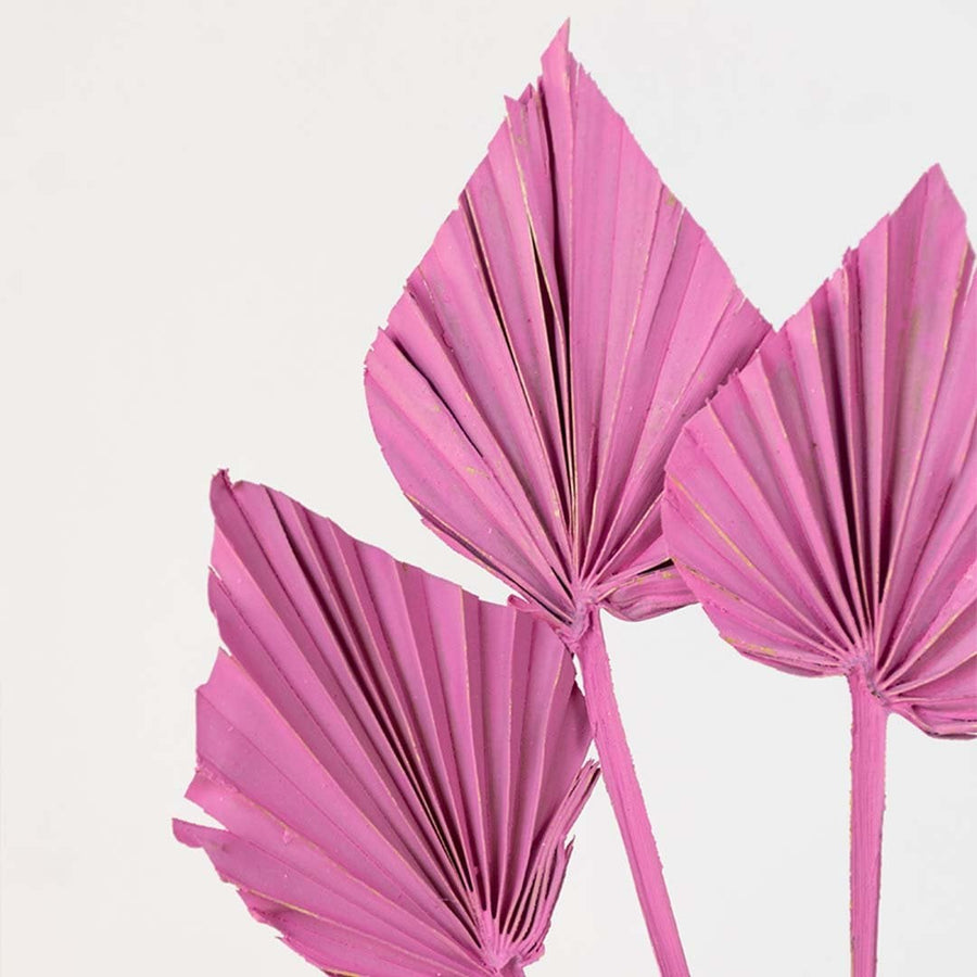 Closeup of pink decorative palm leaf stem with folded fan design highlighting bold color and textured modern decor detail.