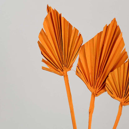 Closeup of orange dried palm leaf stems displaying bold color pleated texture and natural material for statement vase Decor use.