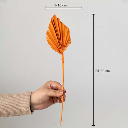 Orange dried palm leaf shown with size dimensions 25 to 30 cm height and 5 to 10 cm width for vase decor.