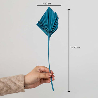 Teal dried palm leaf stem with 25 to 30cm height and 5 to 10cm leaf width shown with measurement.