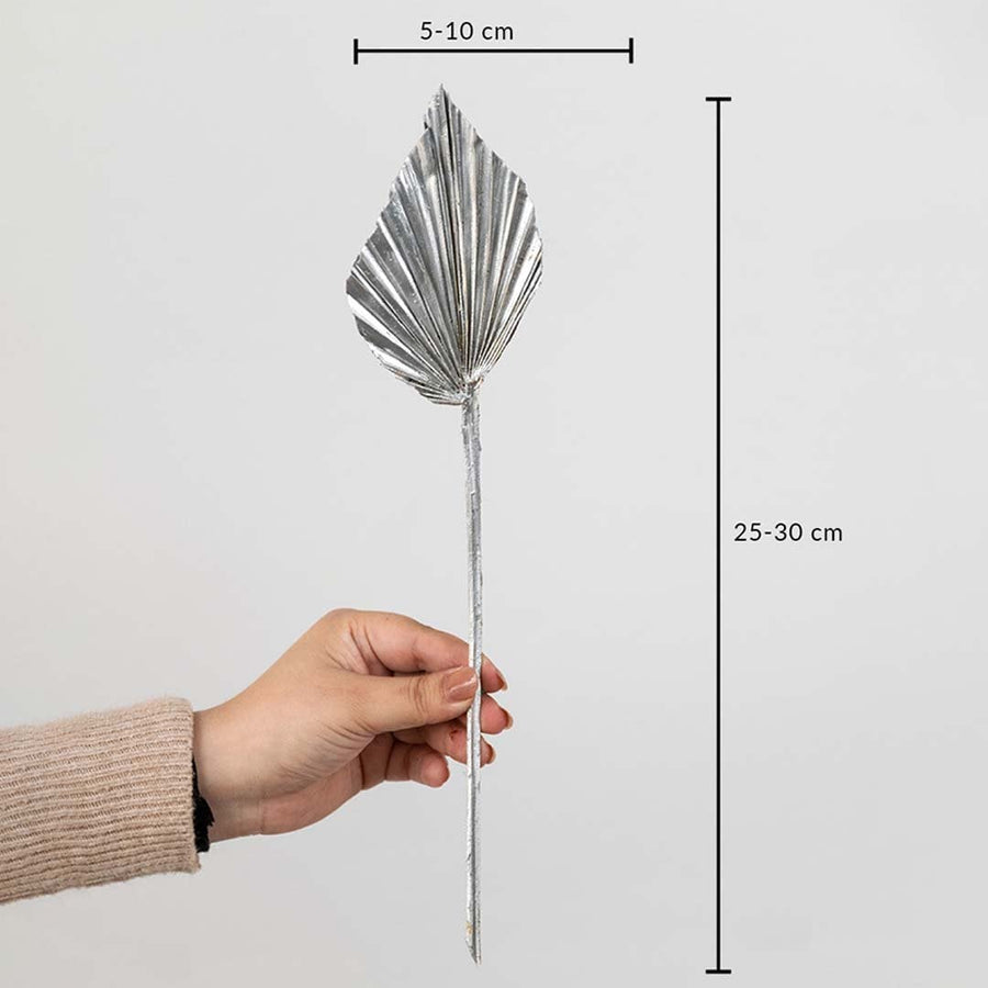 Silver dried palm leaf shown with size dimensions 25 to 30 cm height and 5 to 10 cm width for vase decoration.