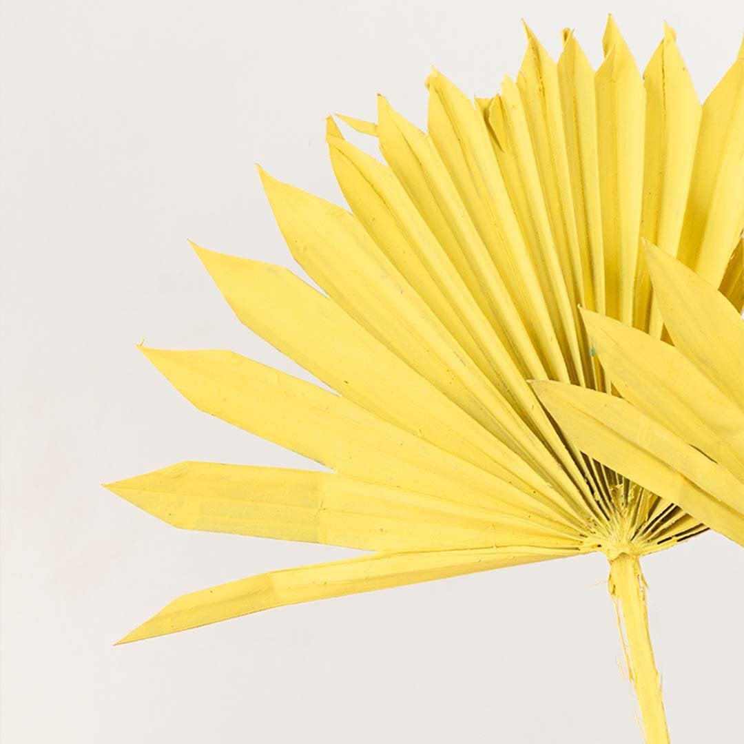 Closeup of yellow dried palm leaf with detailed texture for vase arrangement and boho table decor.