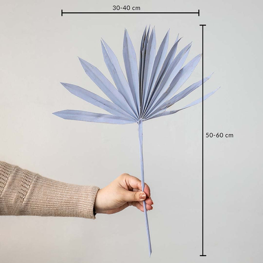 Light purple dried palm leaf shown with size dimensions 50 to 60 cm height and 30 to 40 cm width for vase decor.
