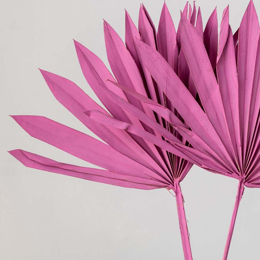 Closeup of clustered pink palm leaf decor stems emphasizing sharp folded edges and artistic form for statement interior accents.