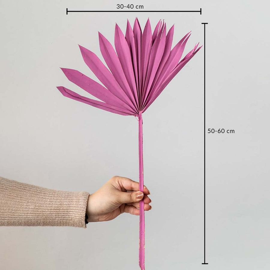 Pink dried palm leaf shown with size dimensions 50 to 60 cm height and 30 to 40 cm width for vase decoration.