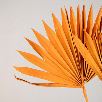 Closeup of orange dried palm leaf with natural texture for vase arrangements and home table styling.