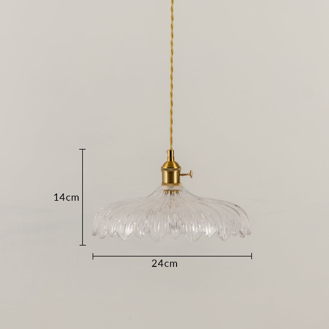 Clear feather glass and brass pendant light dimension image with 24 cm width and 14 cm height for dining room placement.